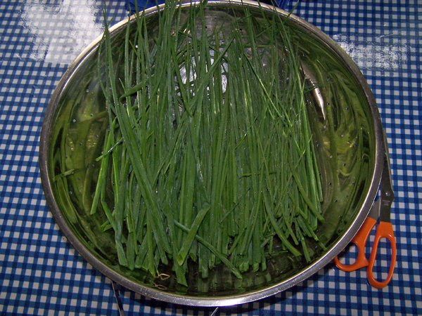 Chives for dehydrator crop May 2019.jpg