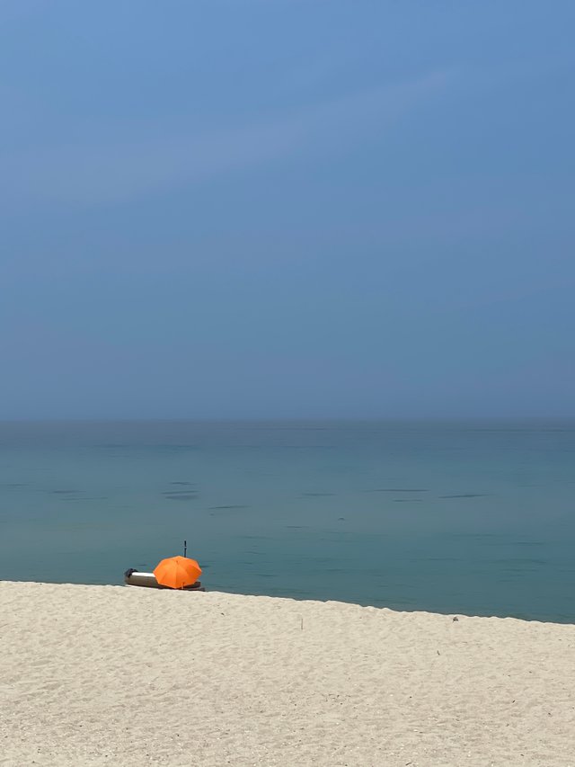 IMG_6995.jpeg