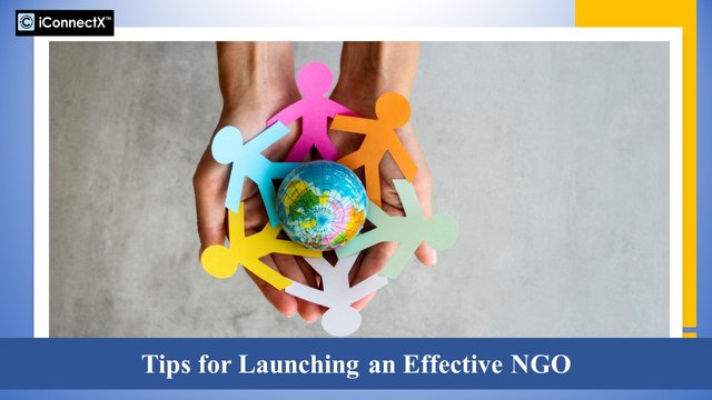 Tips for Launching an Effective NGO.jpg