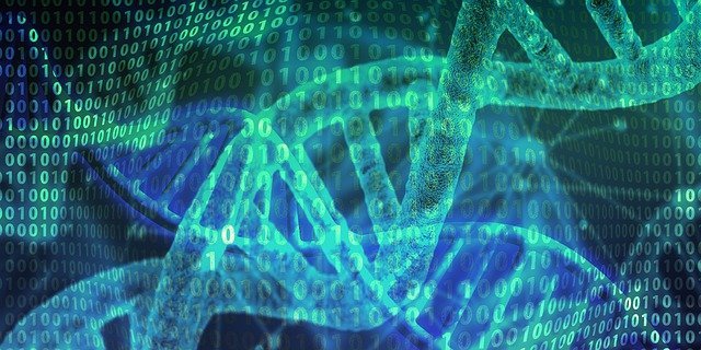 dna-gd2422c3f1_640.jpg