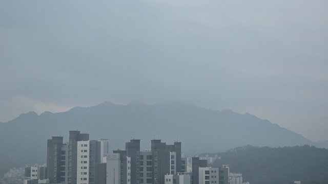 1000141148.jpg