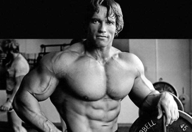 Arnold-Schwarzenegger-768x527.jpg