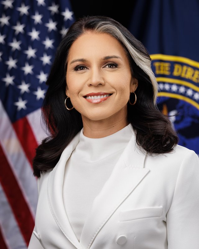 2048px-Director_Tulsi_Gabbard_Official_Portrait.jpg
