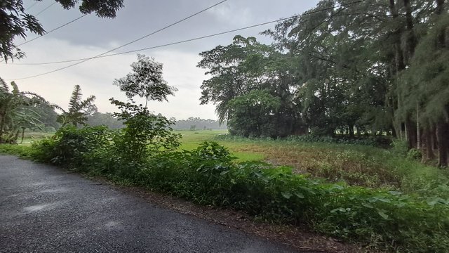 20240619_140810.jpg