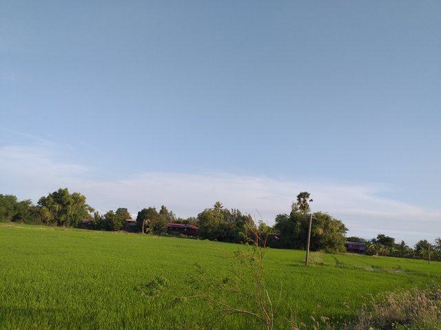 countryside view10.jpg