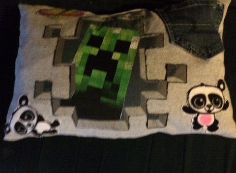 pic of minecraft pillow.png