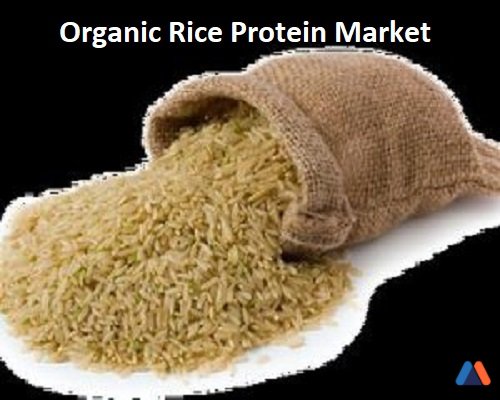 Organic Rice Protein Market.jpg