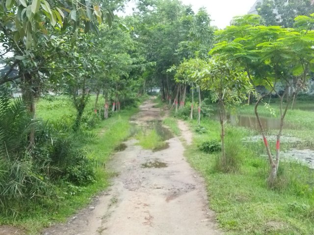 IMG_20250716_081641.jpg