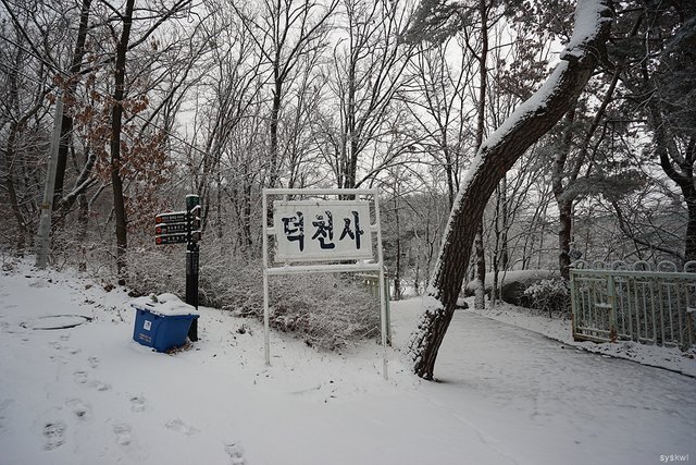 w-DSC00052.jpg