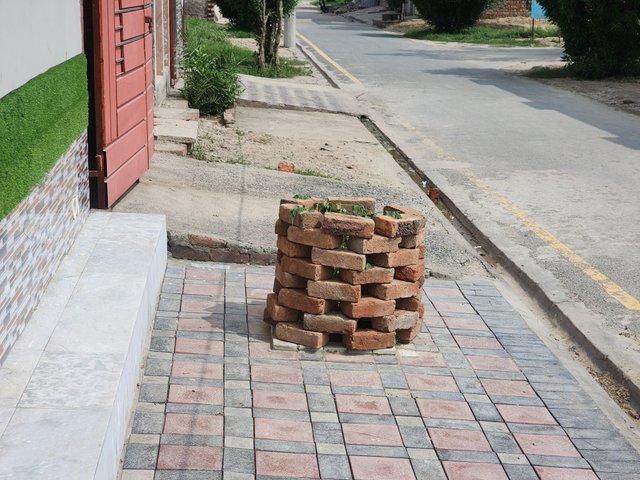 1000385601.jpg