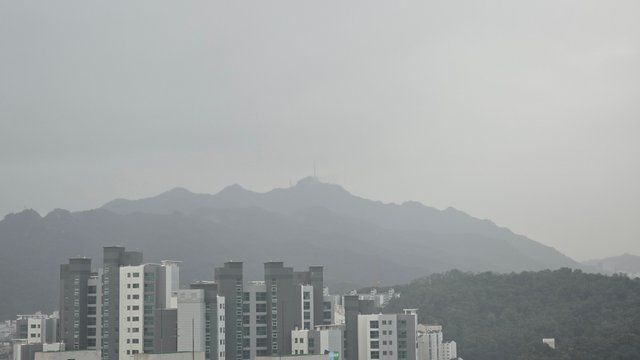 1000141376.jpg