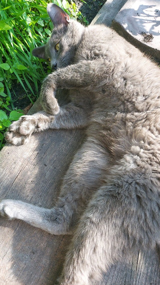IMG_9920.jpeg