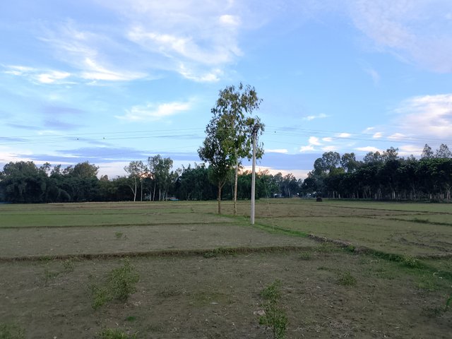 1000043267.jpg