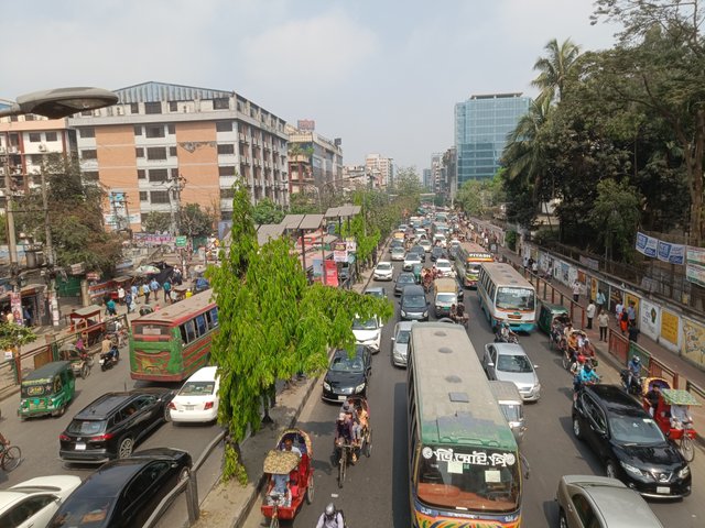 IMG20250313105510.jpg