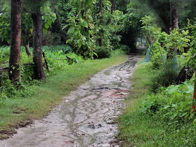IMG_20250709_100023.jpg