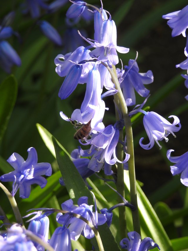 DSCN1509.JPG