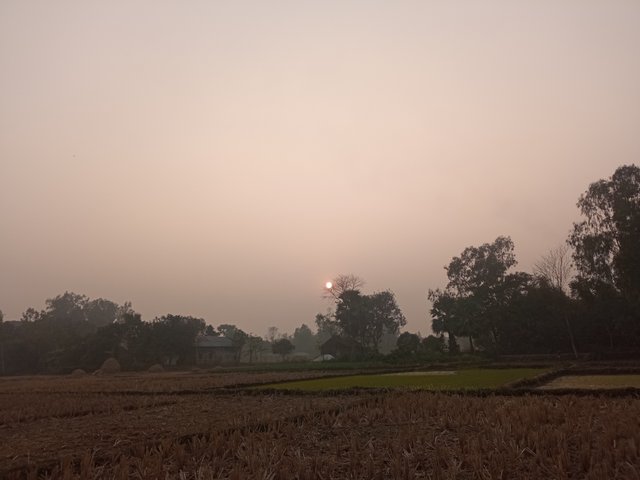 IMG_20230120_165748.jpg