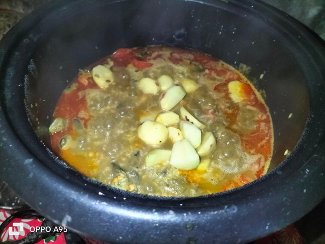 IMG20250309105337.jpg