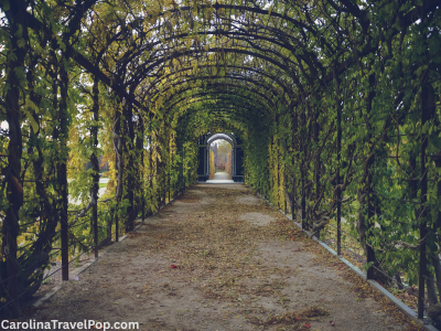 Busch Gardens Williamsburg (5).png