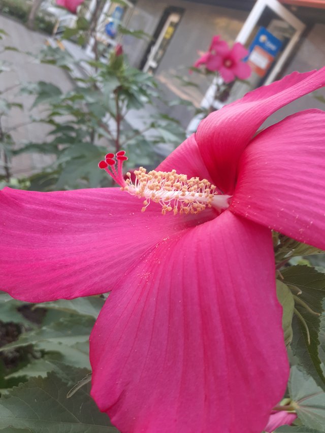 20250817_094441.jpg