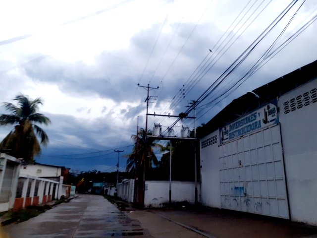 20250424_182931.jpg