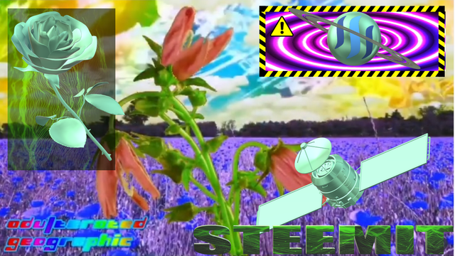 101 STEEM 3 FLOWER .png