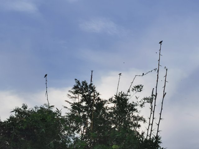 IMG_20240825_175322.jpg