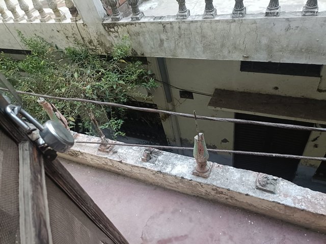 IMG-202505240006.jpg