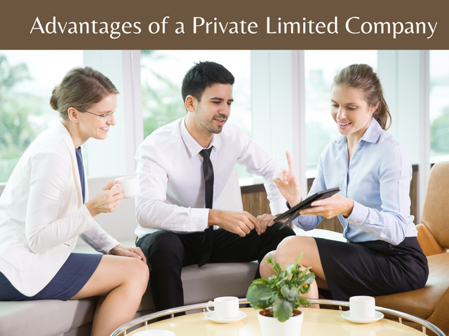 Advantages-of-a-Private-Limited-Company.png