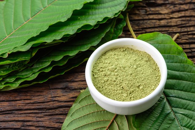 kratom-powder-with-kratom-leaves.jpg