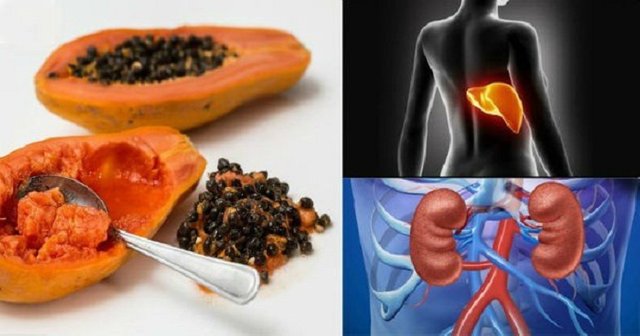 Start-Eating-Papaya-Seeds-Right-Now-–-There-Are-Magical-Cure-For-Gut-Liver-Kidney-Cancer-And….jpg