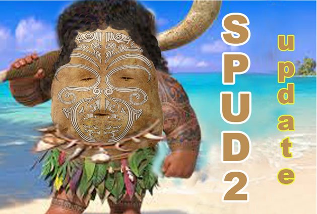 MaoriSpud2.jpg