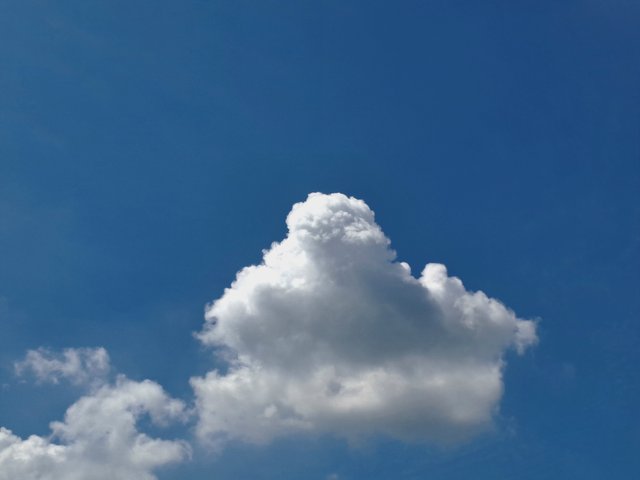 20250924_131543.jpg