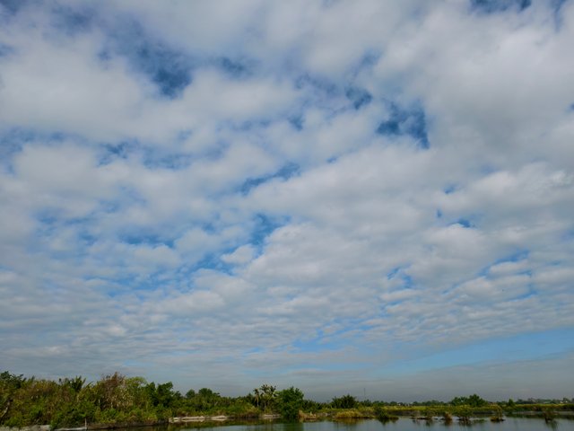 IMG_20250331_081625.jpg