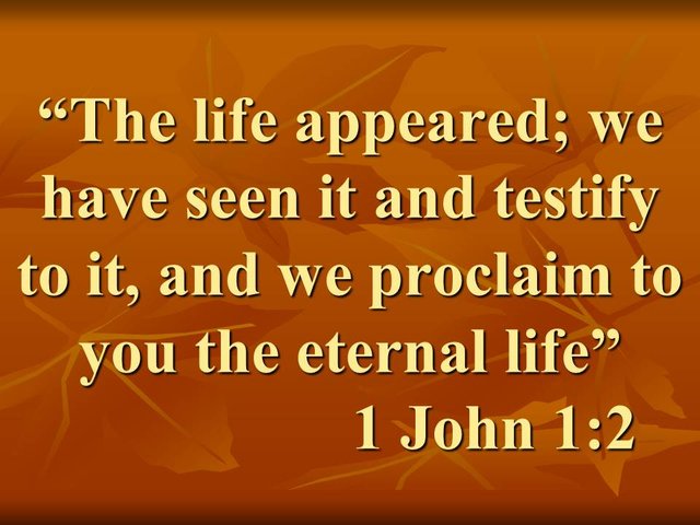 Jesus is the way to God. The life appeared; we have seen it and testify to it, and we proclaim to you the eternal life.jpg