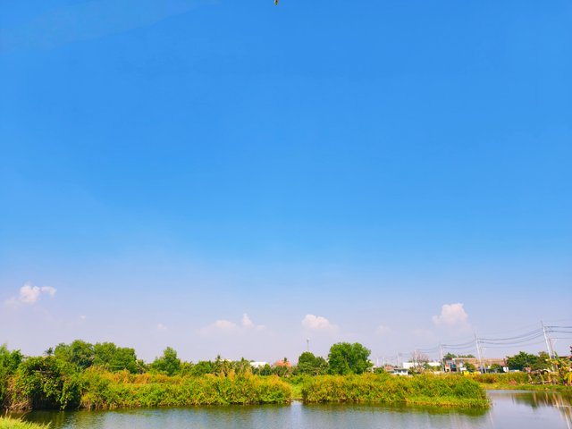 IMG_20250423_235158.jpg