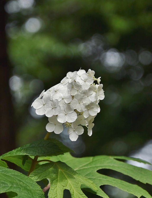 IMG_20250614_075730.jpg