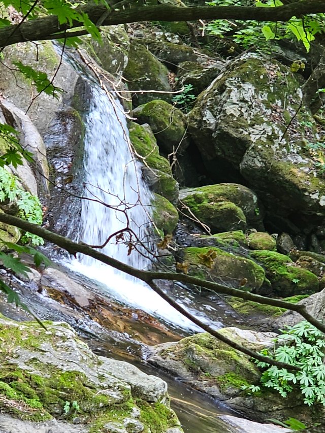 20250608_152456.jpg