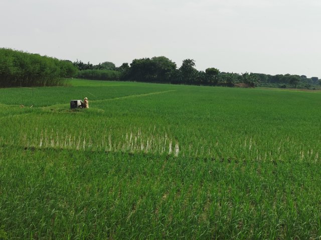 IMG_20240906_145343.jpg