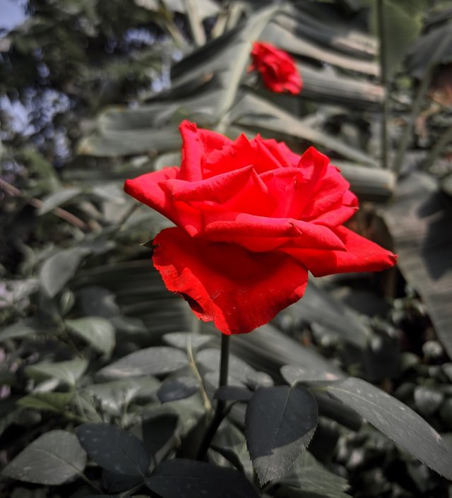IMG_20220529_073205.jpg