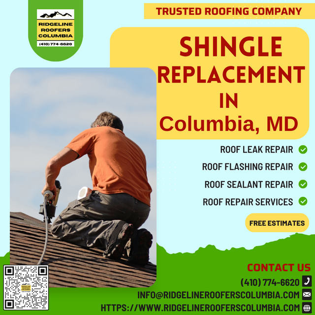 shingle replacement.png