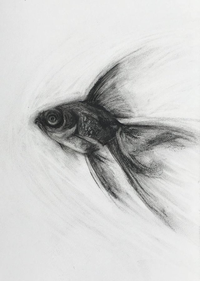 fish-drawing.jpg