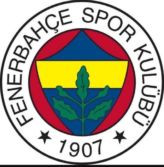 fenerbahçe.jpeg