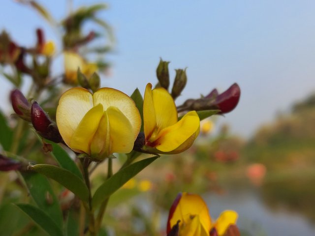 20230120_160159.jpg