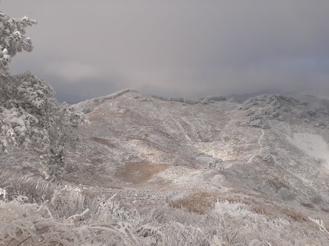 민둥산8.jpg