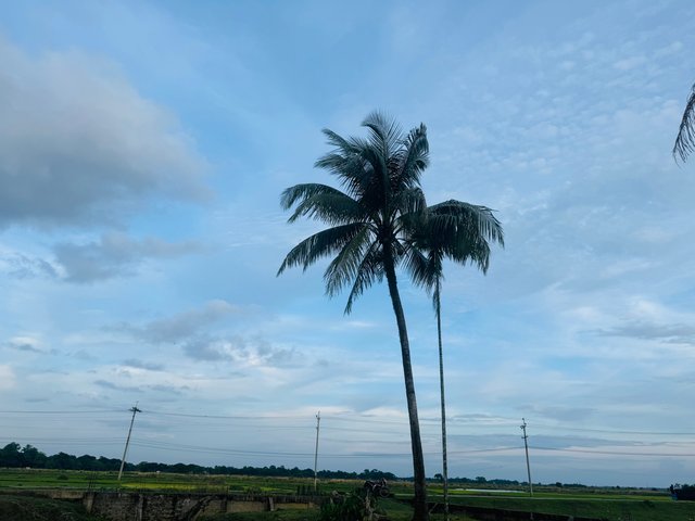 IMG_0220.jpeg