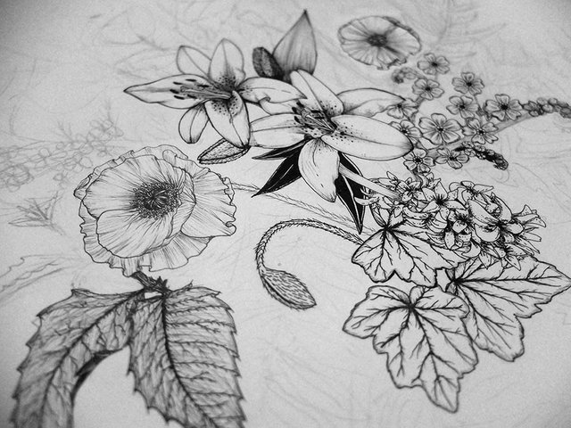 wip4flowers.jpg