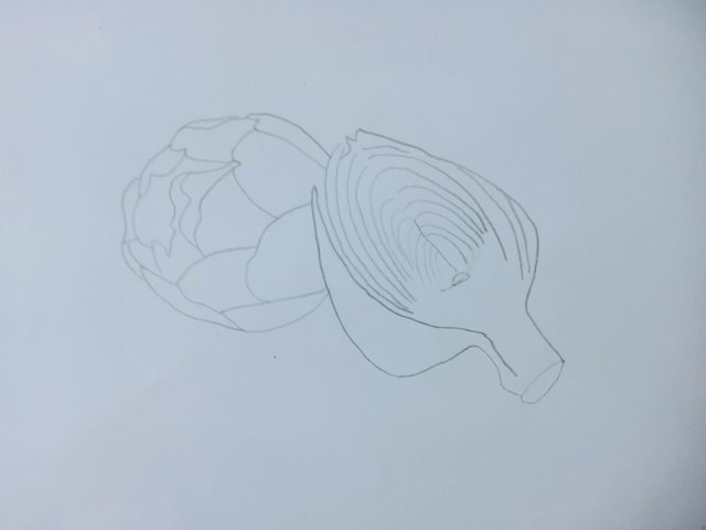 Artichoke (4).jpg