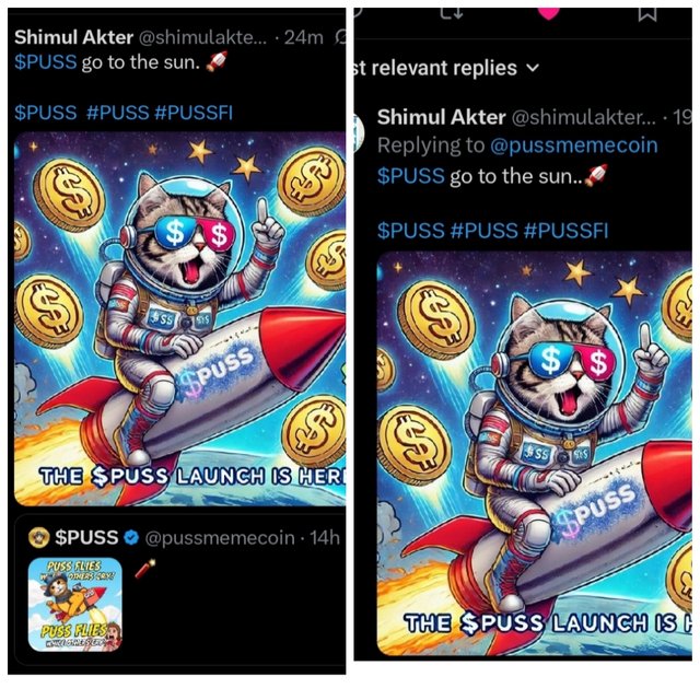 photocollage_2025528202529335.jpg