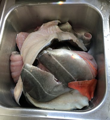 Friday's catch1 crop December 2019.jpg